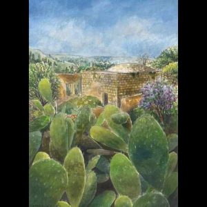 Cactus (Lifta Vellage)