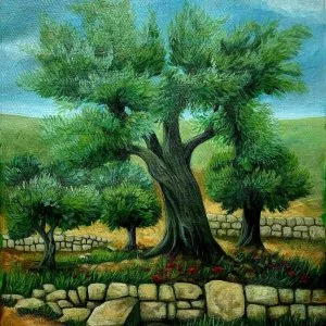 The Olive Tree