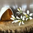 Bethlehem-flower-scaled-1.jpeg