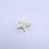 Bethlehem Star Brooch