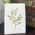 Display Plate Olive Branch Stamp (2)