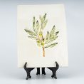 Display Plate Olive Branch Stamp (4)