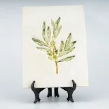 Display Plate Olive Branch Stamp