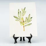 Display Plate Olive Branch Stamp