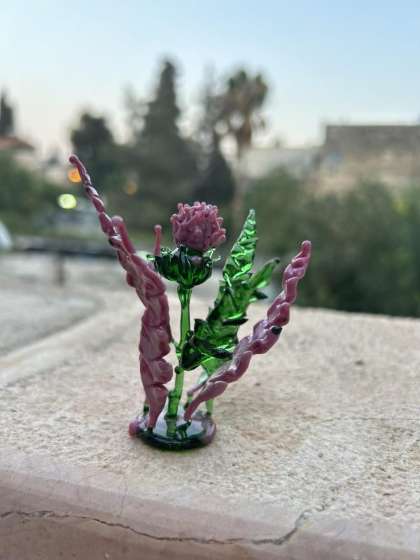 Palestinian-Artichoke-Flower-naw2.jpg
