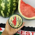 Watermelon Mosaic Coaster (1)
