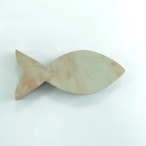 Big stone Fish