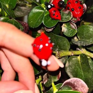 Big Glass Lady Bug