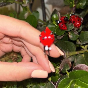 Small Glass Lady Bug