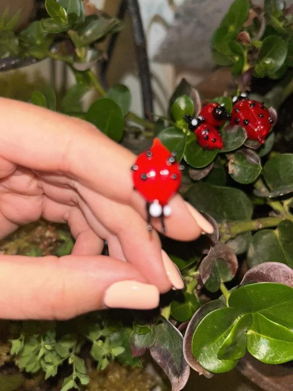Small Glass Lady Bug