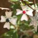 Mother-of-Pearl Shell Charms