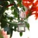 my-home-earring-1.jpg