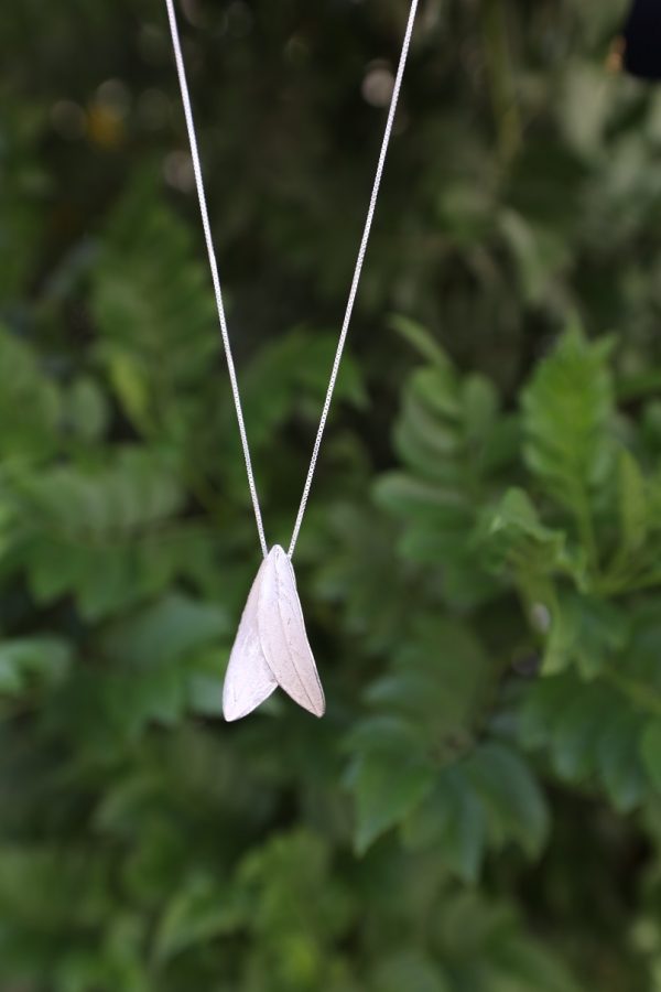 nd002-2.jpg