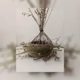 Straw with Olive