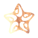 Star Ornament