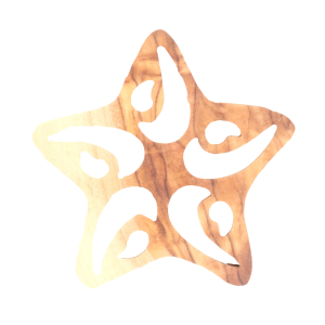 Star Ornament