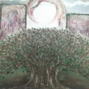 "The Blessing Olive Tree" Post Card
