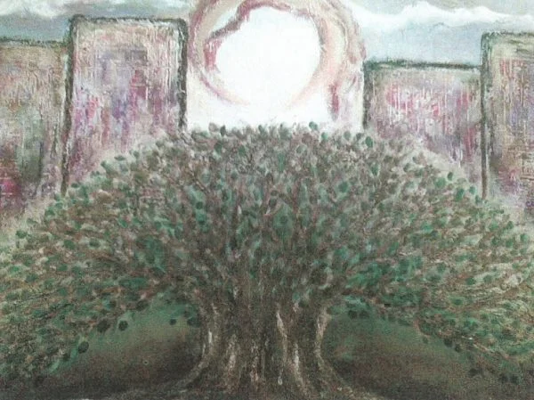 "The Blessing Olive Tree" Post Card