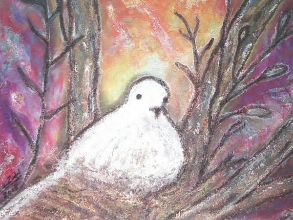 "Dove at Sunset" Post Card