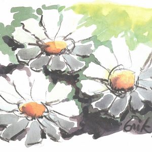 "Palestinian Chrysanthemum flower" Post Card