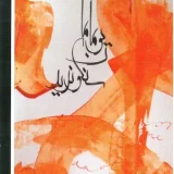 "One Day I'll be what I want" Post Card