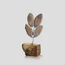 Olive Wood Branch