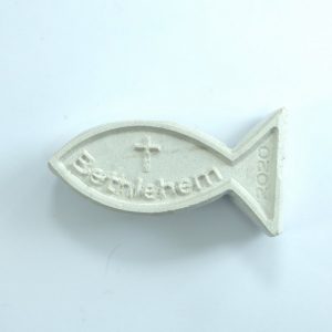 Small stone Fish