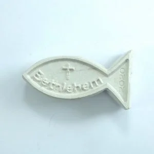 Small stone Fish