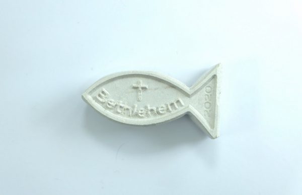 small-fish.jpg