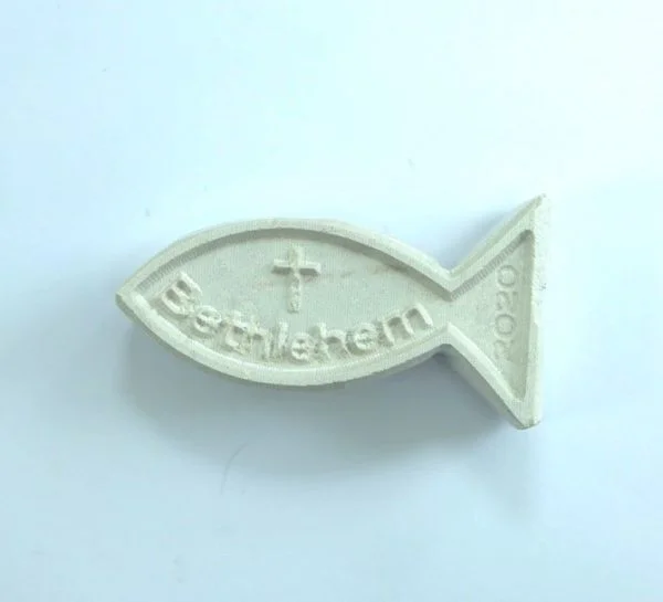 small stone fish