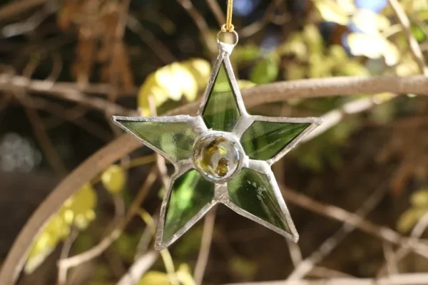 star-2.jpg star-2.jpg