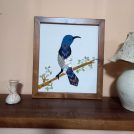sunbird-wall-art-1-5.jpg