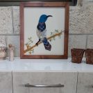 sunbird-wall-art-1-6.jpg
