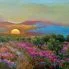 Sunset Painting
