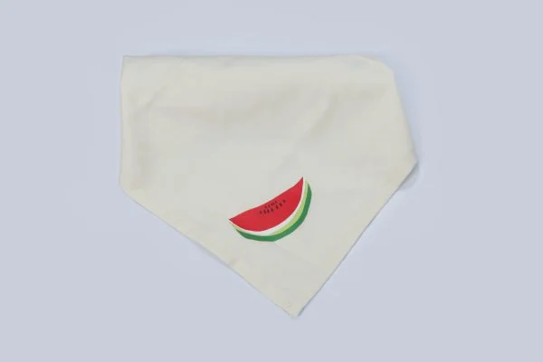 napkin