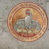 Mother Hen Embroidered Stole (1)